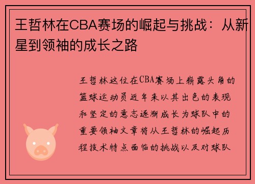 王哲林在CBA赛场的崛起与挑战：从新星到领袖的成长之路